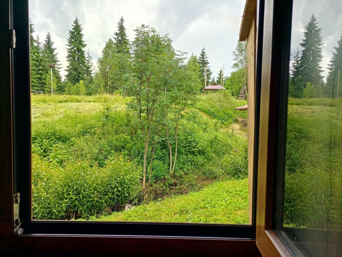 Hotel Gostynniy Dvir Raytshtoky Vorochta Exteriér fotografie